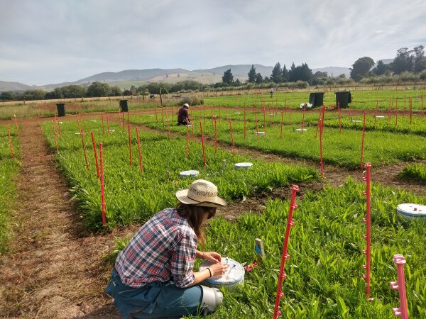 Person crouched in field doing tests