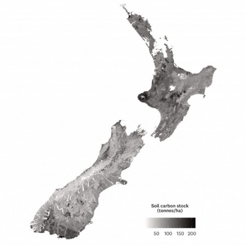Map showing New Zealand's soil carbon stocks.