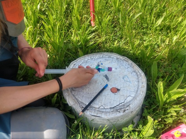 Measuring nitrous oxide emissions in the field